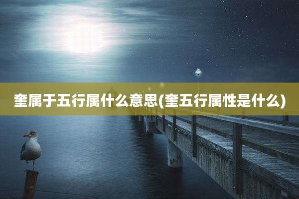 奎属于五行属什么意思(奎五行属性是什么)