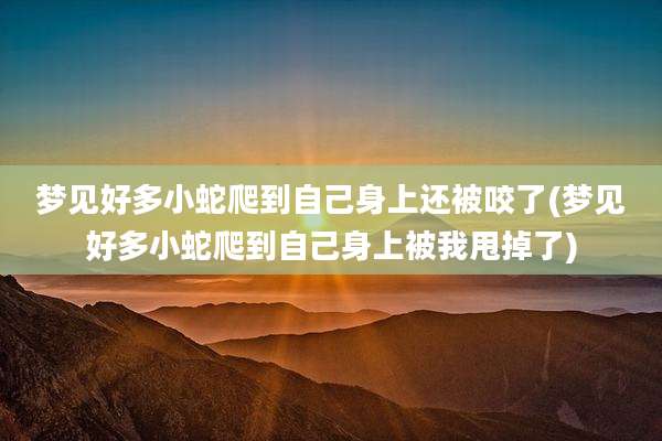 梦见好多小蛇爬到自己身上还被咬了(梦见好多小蛇爬到自己身上被我甩掉了)
