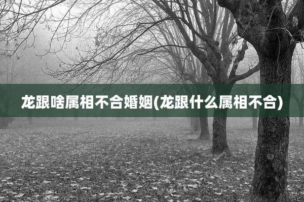 龙跟啥属相不合婚姻(龙跟什么属相不合)