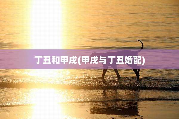 丁丑和甲戌(甲戌与丁丑婚配)