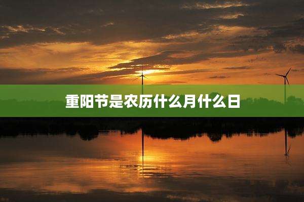 重阳节是农历什么月什么日