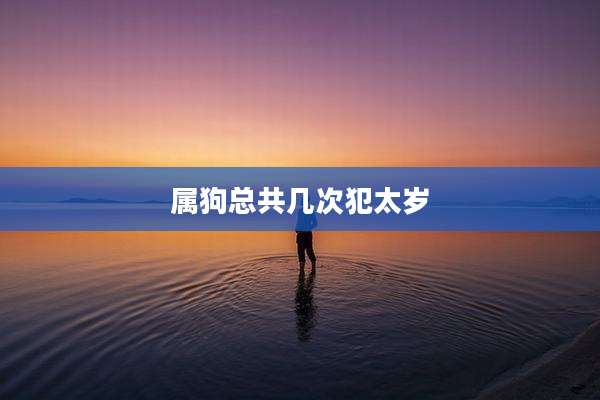 属狗总共几次犯太岁