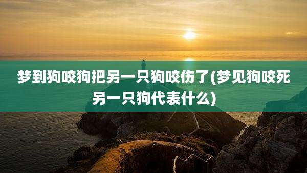 梦到狗咬狗把另一只狗咬伤了(梦见狗咬死另一只狗代表什么)