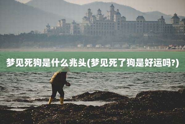 梦见死狗是什么兆头(梦见死了狗是好运吗?)