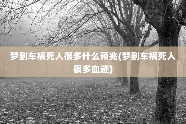 梦到车祸死人很多什么预兆(梦到车祸死人很多血迹)