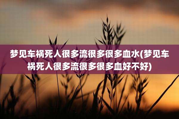 梦见车祸死人很多流很多很多血水(梦见车祸死人很多流很多很多血好不好)