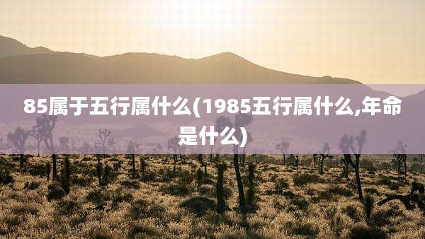 85属于五行属什么(1985五行属什么,年命是什么)