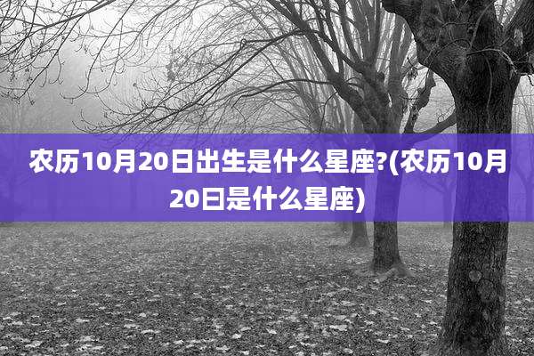 农历10月20日出生是什么星座?(农历10月20曰是什么星座)