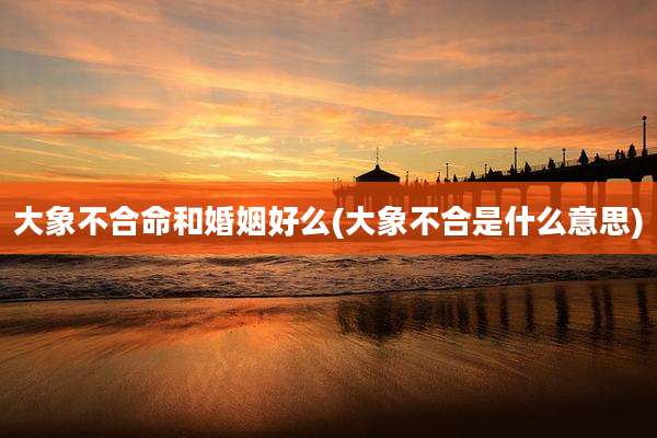 大象不合命和婚姻好么(大象不合是什么意思)