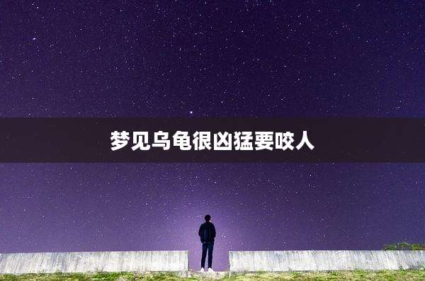 梦见乌龟很凶猛要咬人