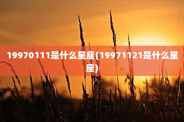 19970111是什么星座(19971121是什么星座)