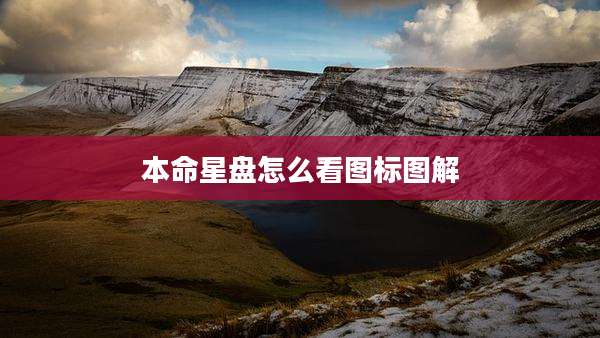 本命星盘怎么看图标图解