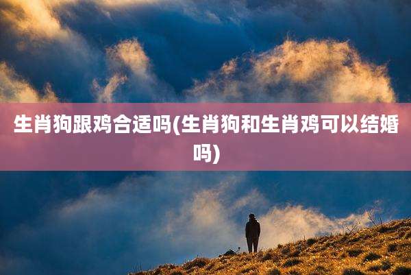 生肖狗跟鸡合适吗(生肖狗和生肖鸡可以结婚吗)
