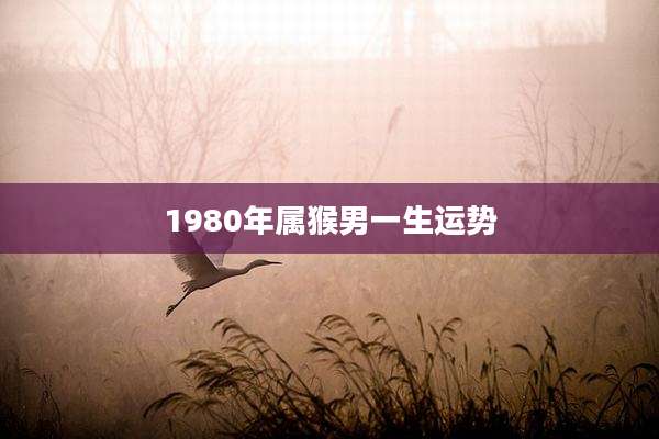 1980年属猴男一生运势