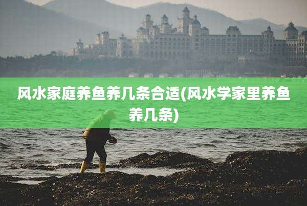 风水家庭养鱼养几条合适(风水学家里养鱼养几条)