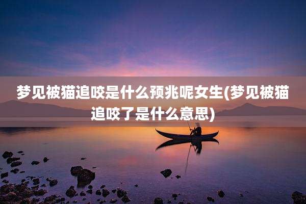 梦见被猫追咬是什么预兆呢女生(梦见被猫追咬了是什么意思)