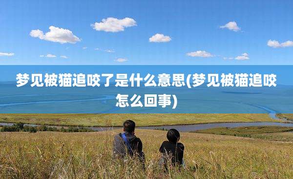 梦见被猫追咬了是什么意思(梦见被猫追咬怎么回事)