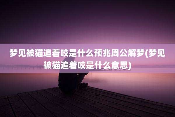 梦见被猫追着咬是什么预兆周公解梦(梦见被猫追着咬是什么意思)