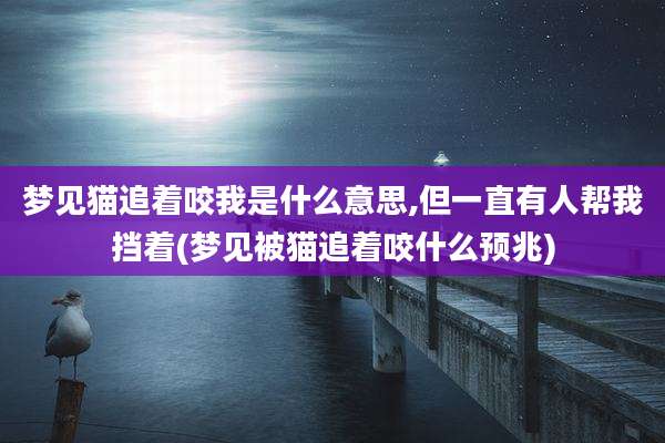 梦见猫追着咬我是什么意思,但一直有人帮我挡着(梦见被猫追着咬什么预兆)
