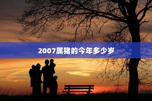 2007属猪的今年多少岁