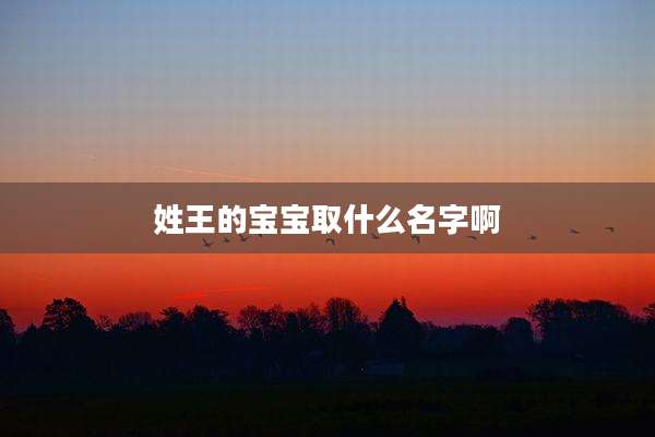 姓王的宝宝取什么名字啊