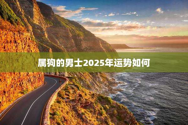 属狗的男士2025年运势如何