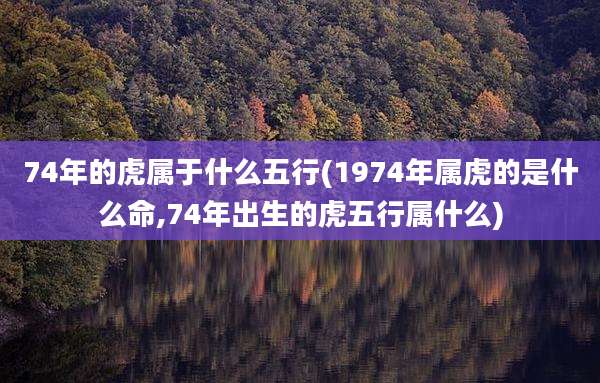 74年的虎属于什么五行(1974年属虎的是什么命,74年出生的虎五行属什么)