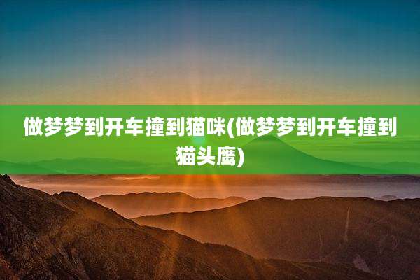 做梦梦到开车撞到猫咪(做梦梦到开车撞到猫头鹰)