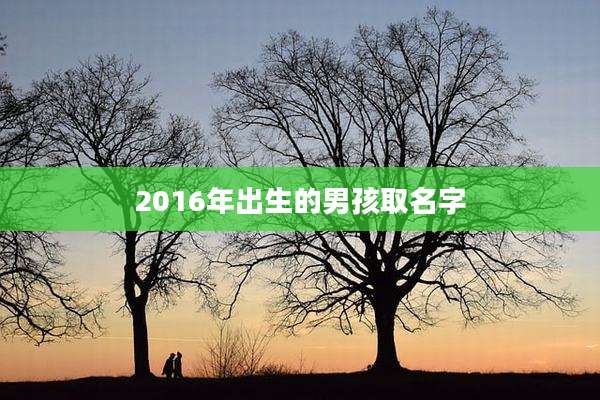 2016年出生的男孩取名字