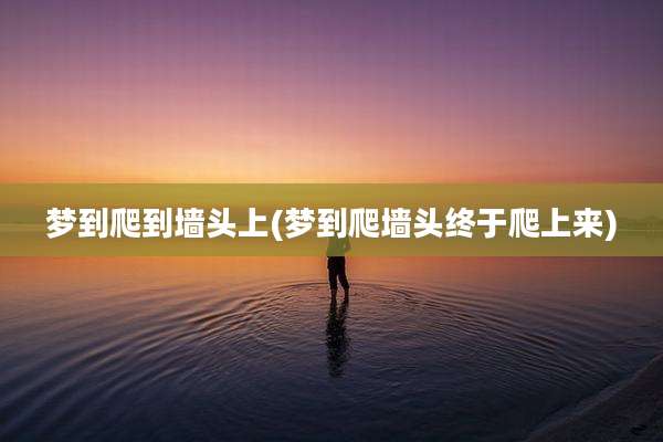 梦到爬到墙头上(梦到爬墙头终于爬上来)