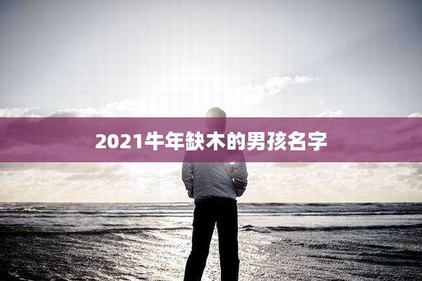 2021牛年缺木的男孩名字