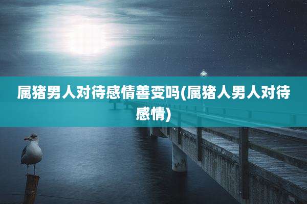 属猪男人对待感情善变吗(属猪人男人对待感情)