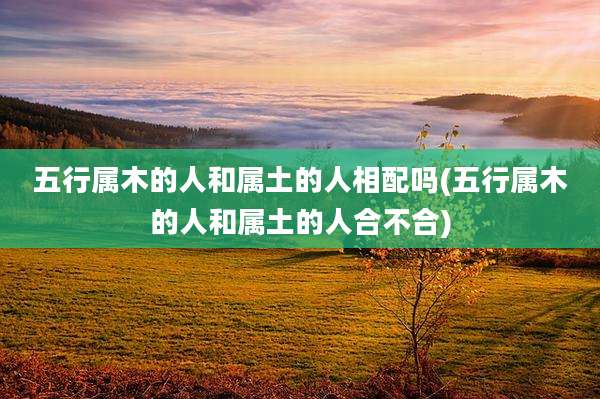 五行属木的人和属土的人相配吗(五行属木的人和属土的人合不合)