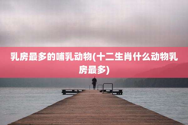 乳房最多的哺乳动物(十二生肖什么动物乳房最多)