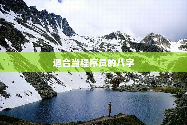 适合当程序员的八字