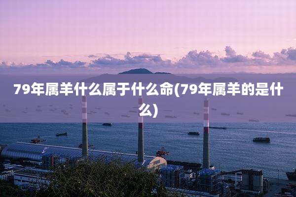79年属羊什么属于什么命(79年属羊的是什么)