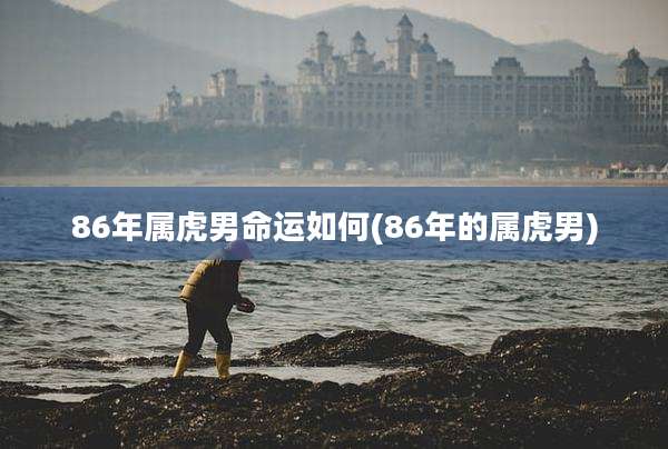 86年属虎男命运如何(86年的属虎男)