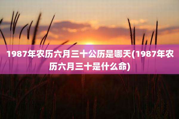 1987年农历六月三十公历是哪天(1987年农历六月三十是什么命)