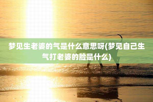 梦见生老婆的气是什么意思呀(梦见自己生气打老婆的脸是什么)