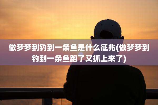 做梦梦到钓到一条鱼是什么征兆(做梦梦到钓到一条鱼跑了又抓上来了)