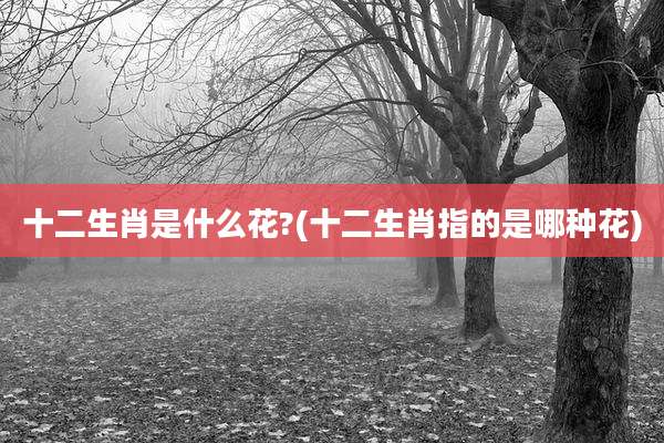 十二生肖是什么花?(十二生肖指的是哪种花)