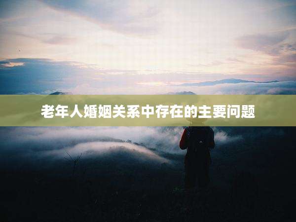 老年人婚姻关系中存在的主要问题