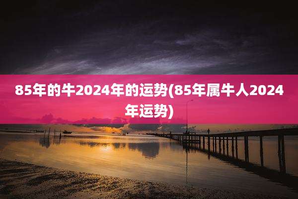 85年的牛2024年的运势(85年属牛人2024年运势)