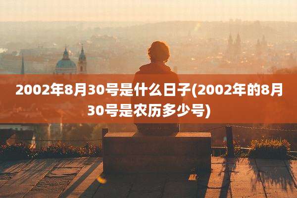 2002年8月30号是什么日子(2002年的8月30号是农历多少号)