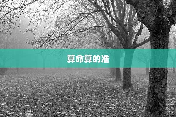 算命算的准