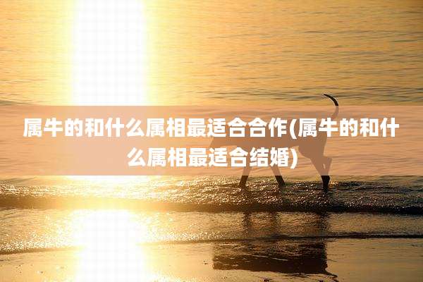 属牛的和什么属相最适合合作(属牛的和什么属相最适合结婚)