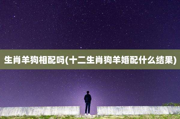生肖羊狗相配吗(十二生肖狗羊婚配什么结果)