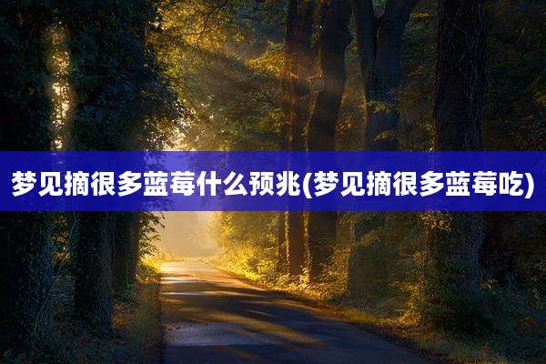 梦见摘很多蓝莓什么预兆(梦见摘很多蓝莓吃)
