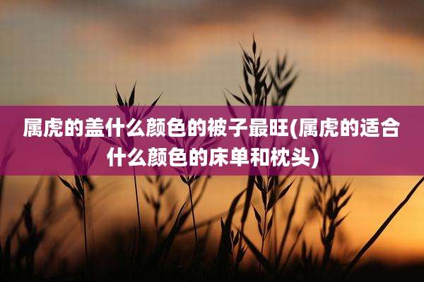 属虎的盖什么颜色的被子最旺(属虎的适合什么颜色的床单和枕头)