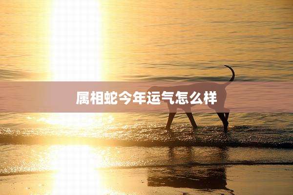 属相蛇今年运气怎么样